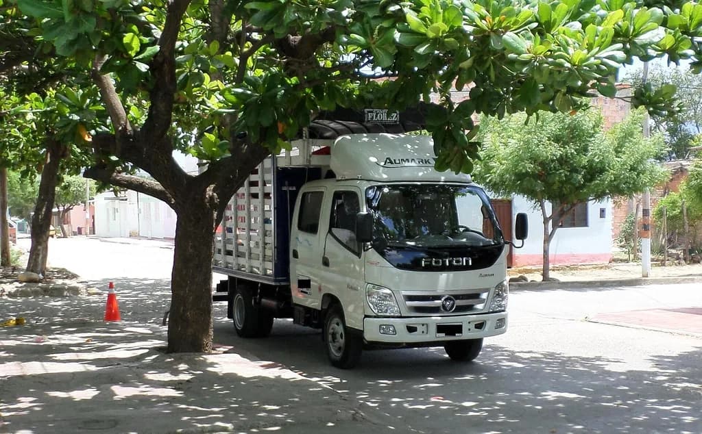 Foton Aumark 2027