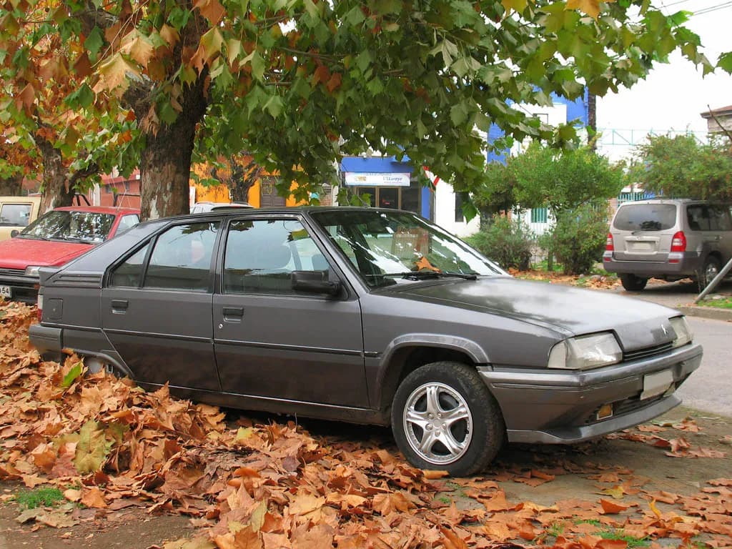 Citroen Bx 1993 | raul | CC BY-SA 2.0 | commons.wikimedia.org